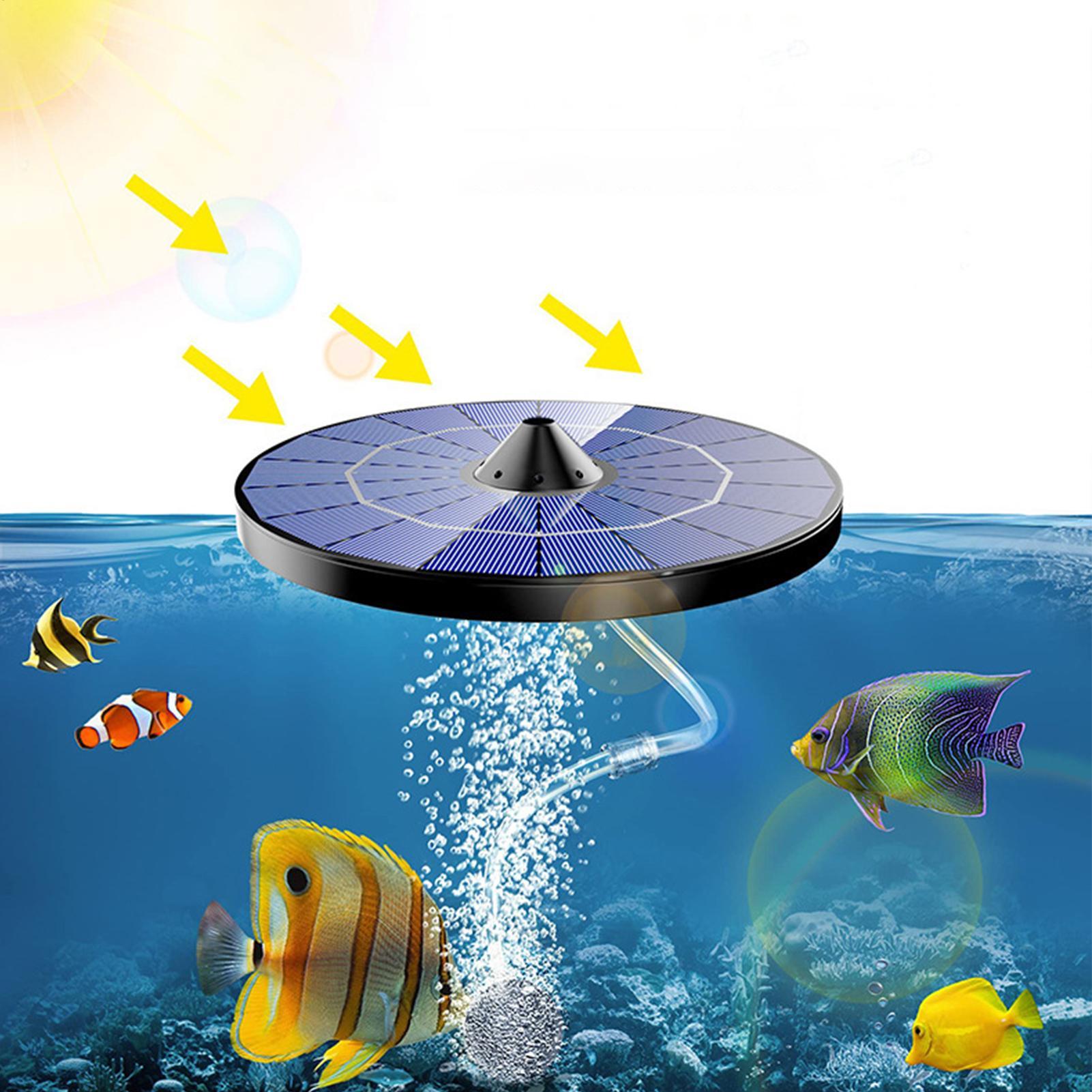 Pompe à air solaire pour bassi - Outdoor Power 'Hose' avis et prix